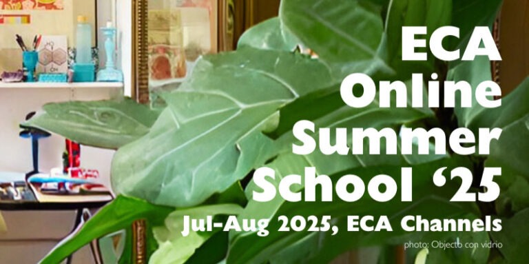 Read more about the article ECA Online Summer School 2025