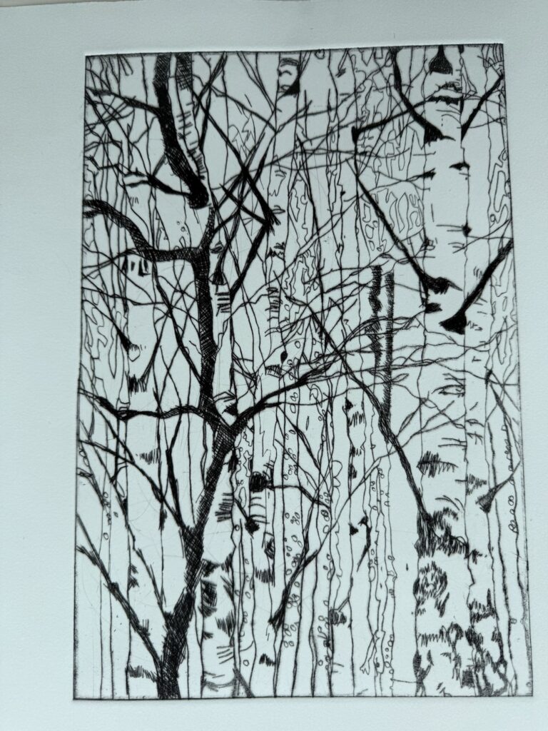 Tall trees